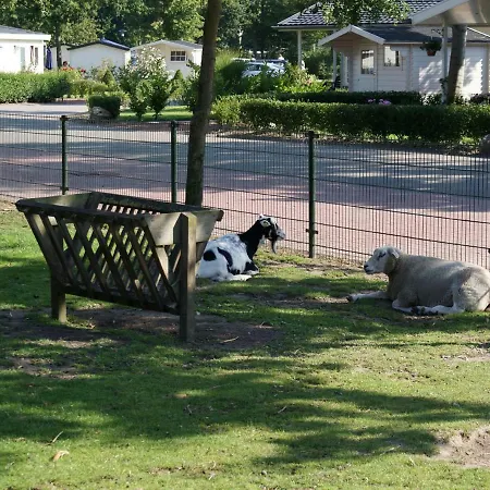 Holiday Droompark Molengroet.52 *